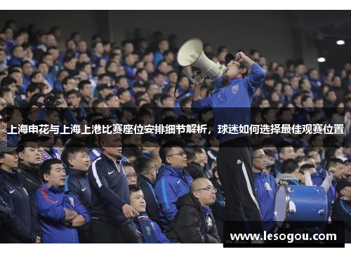 上海申花与上海上港比赛座位安排细节解析，球迷如何选择最佳观赛位置