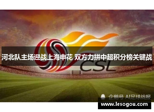 河北队主场迎战上海申花 双方力拼中超积分榜关键战