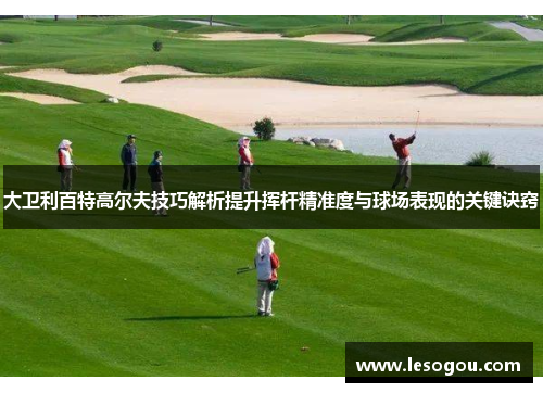 大卫利百特高尔夫技巧解析提升挥杆精准度与球场表现的关键诀窍