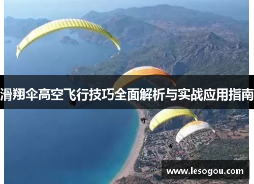 滑翔伞高空飞行技巧全面解析与实战应用指南