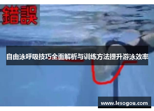 自由泳呼吸技巧全面解析与训练方法提升游泳效率